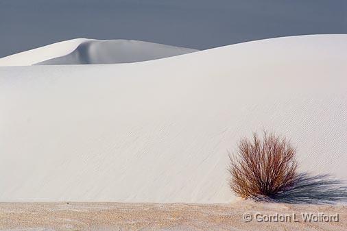 White Sands_32275.jpg - Photographed at the White Sands National Monument near Alamogordo, New Mexico, USA.